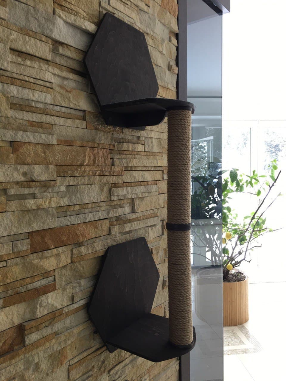 Scratching Post Wall Cat Scratcher Wall Mount Scratching Post Modern Cat Furniture Wall Furniture Unique Cat Trees Wood Cat Tree Cat Tower