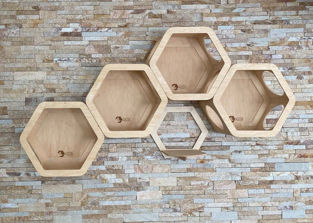 Modern Cat Furniture, Cat Wall Selves, Unique Cat Bed, New Cat Gift, Cat Climb Wall, Light Wood Hexagon, Cat Shelf, Cat Tunnel, Cat Gym