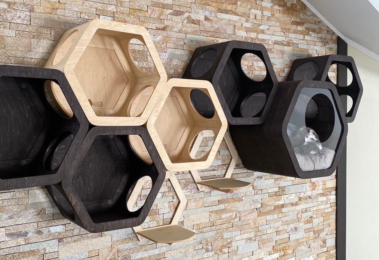 Modern Cat Furniture, Cat Wall Selves, Unique Cat Bed, New Cat Gift, Cat Climb Wall, Light Wood Hexagon, Cat Shelf, Cat Tunnel, Cat Gym