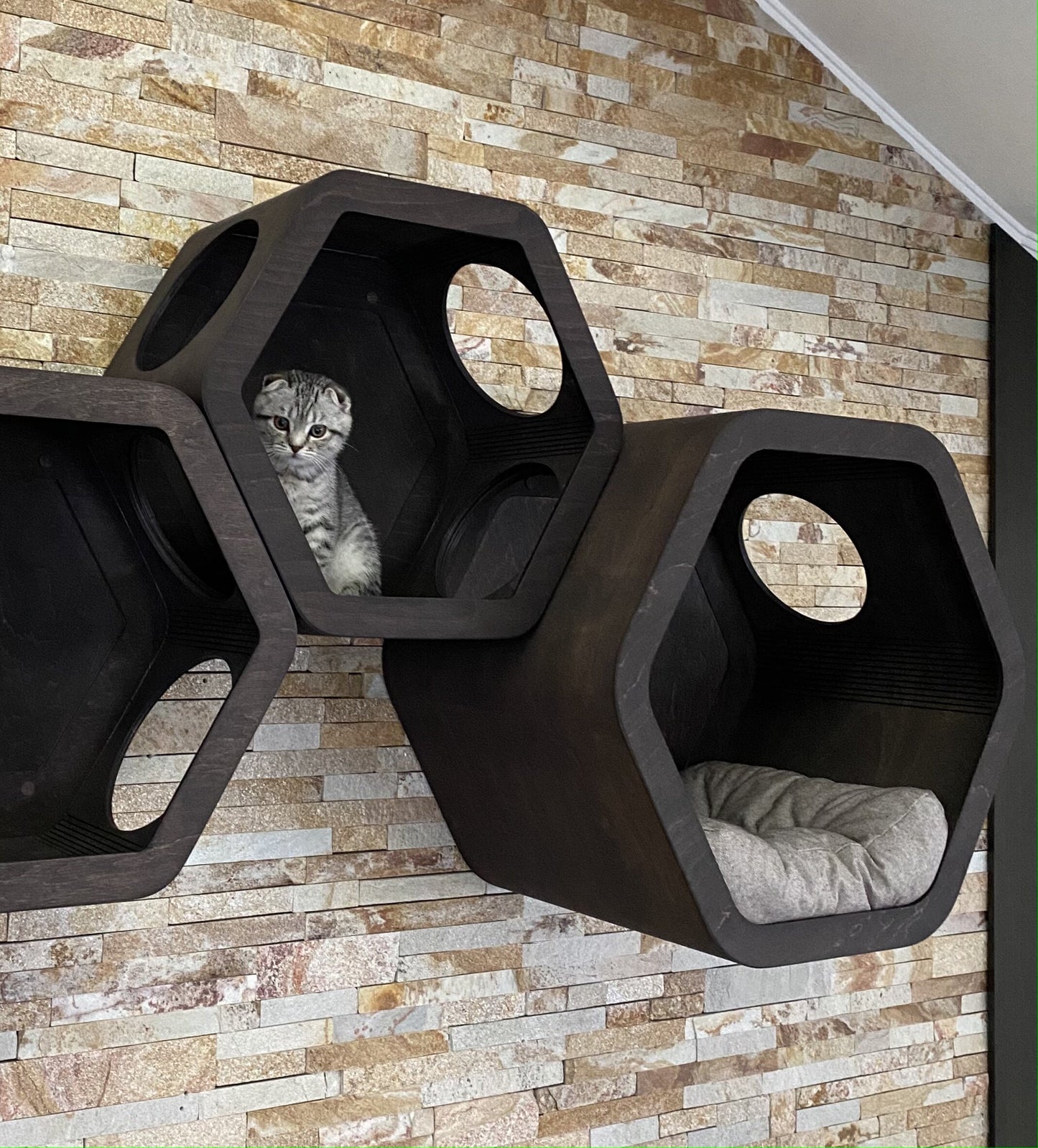 Cat House Cat Bed Luxury Cat Furniture Wall Mounted Cat Bed Shelves Wood Cat House Wooden Cat House Indoor Cat Wall Furniture for Cat Gift