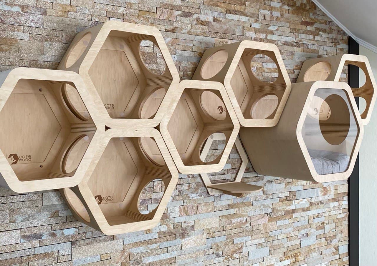 Cat hexagon shelf Modern cat furniture Wall mounted cat bed Cat wall shelves Hexagonal cat shelves Cat bed Wall cat tree Cat wall set gift