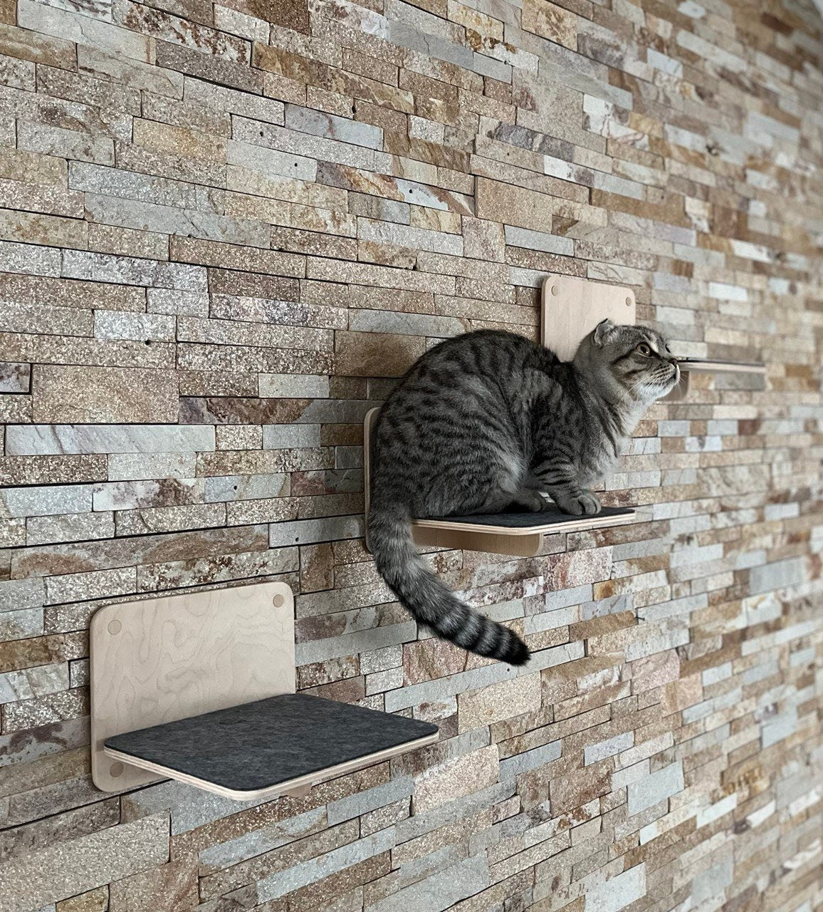 Cat Wall Steps Cat Shelves Cat Stairs Cat Climb Cat Scratch Step Cat Steps Square Shelves Cat Furniture Wall Cat Shelf Gift Set for Cats