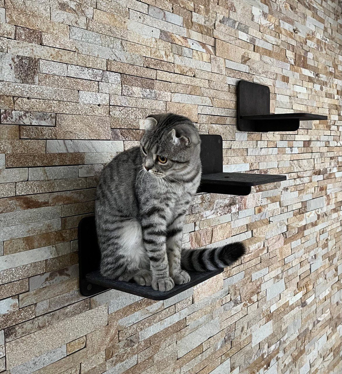 Cat Steps Cat Wall Furniture Gifts for Pets Cat Climbing Wall Shelves Cat Walk Wall Cat Ladder for Wall Gift for Cats Modern Cat Wall Set
