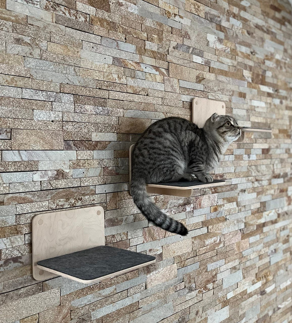 Cat Steps for Wall Cat Play Furniture Gifts for Pets Cat Climbing Wall Shelves Wood Cat Ladder for Wall New Kitten Gift Cat Owner Gift