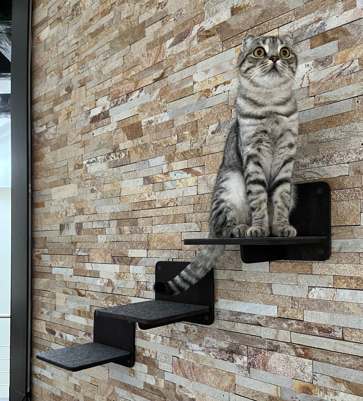 Set of Shelves for Cats Modern Cat Furniture Gift for Cat Lover Cat Mom Gifts Cat Steps Large Cat Shelf Furniture for Cats Wall Tree Modern