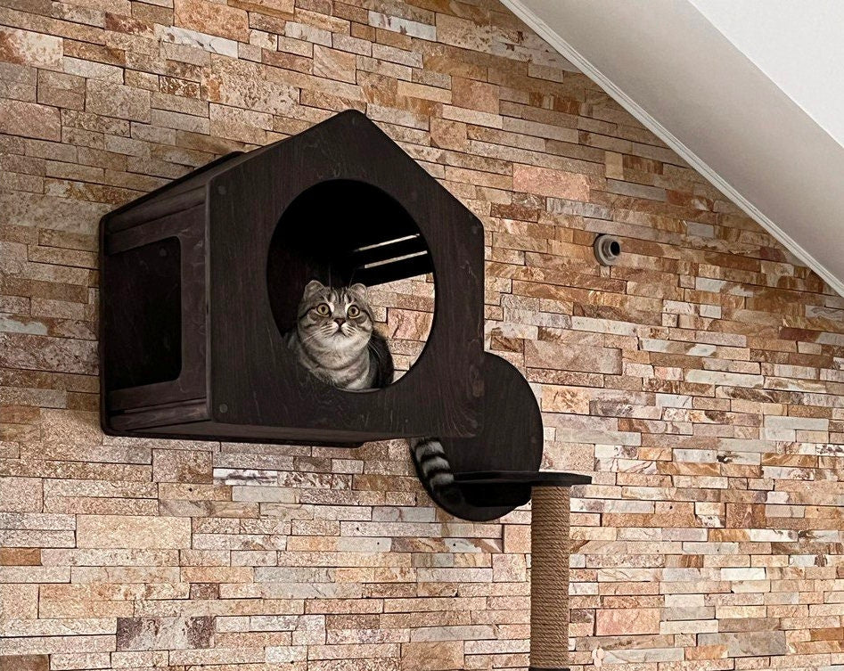 Cat house Cat bed Cat dome Cat bubble shelf Cat highway Cat modern wall furniture Cat wall climber Wall mount cat bed Cat perch Home decor