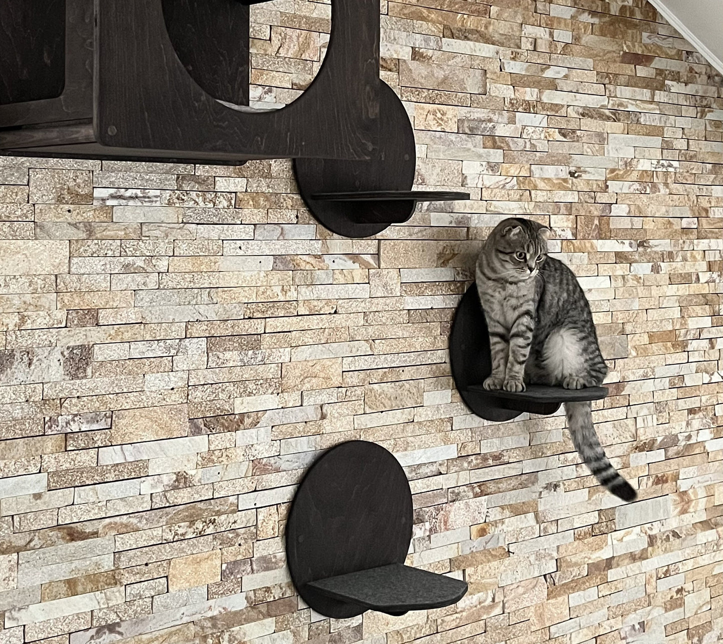Cat house Modern cat tree Cats steps Cat wall bed Cat shelf Cat bed house Wall cat house Cat wall furniture set Cat wall tree modern Cats