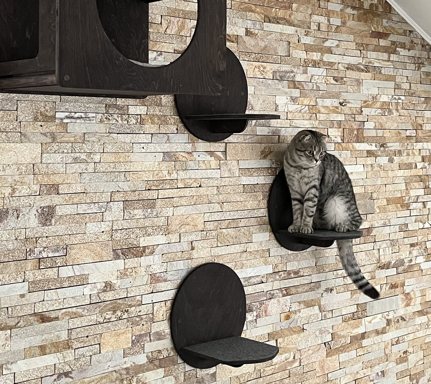 Cat wall shelves set Cats step Cat steps Cat shelf Cat furniture modern Cat tree Cat shelf furniture Wall mount cat shelves Cats Furniture