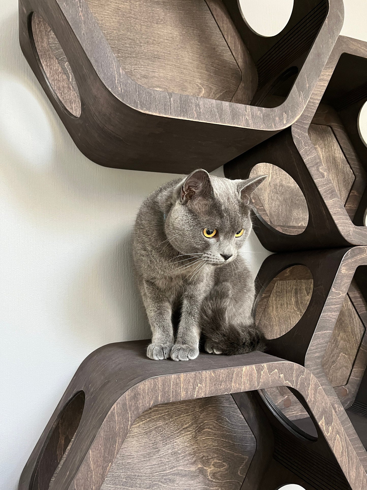 Wall shelves for cat Cat shelves hexagon Cat climbing wall shelf Cat shelves for wall Modern cat house Wood cat bed Wall cat furniture