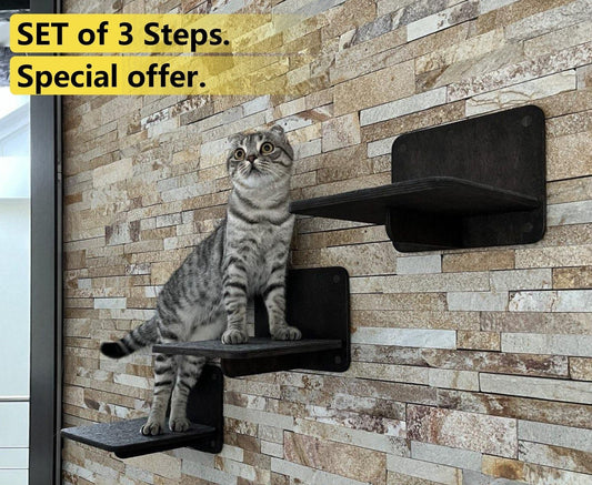 Cat Wall Steps Cat Shelves Cat Stairs Cat Climb Cat Scratch Step Cat Steps Square Shelves Cat Furniture Wall Cat Shelf Gift Set for Cats