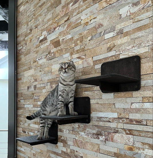Cat Steps Cat Wall Furniture Gifts for Pets Cat Climbing Wall Shelves Cat Walk Wall Cat Ladder for Wall Gift for Cats Modern Cat Wall Set