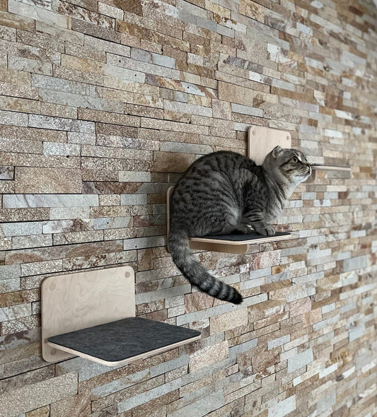 Cat Steps for Wall Cat Play Furniture Gifts for Pets Cat Climbing Wall Shelves Wood Cat Ladder for Wall New Kitten Gift Cat Owner Gift
