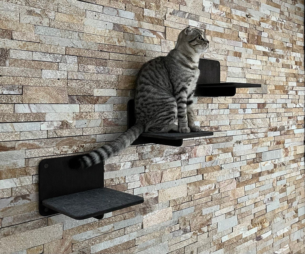 Cat Steps for Wall Cat Play Furniture Gifts for Pets Cat Climbing Wall Shelves Wood Cat Ladder for Wall New Kitten Gift Cat Owner Gift