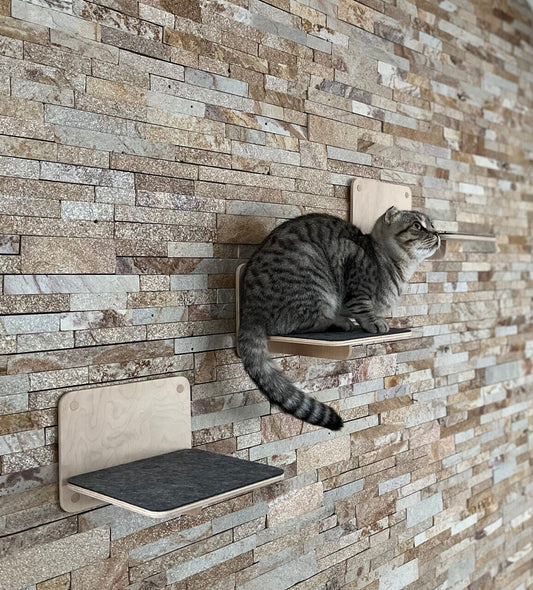 Set of 3 Items for Cats Cat Steps Modern Cat Furniture Gift for Cat Lover Cat Shelf for Walls Cat Wall Tree Modern Wall