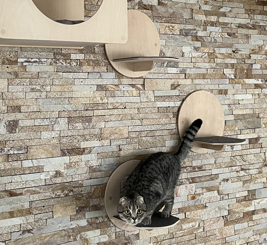 Cat wall shelves set Cats step Cat steps Cat shelf Cat furniture modern Cat tree Cat shelf furniture Wall mount cat shelves Cats Furniture