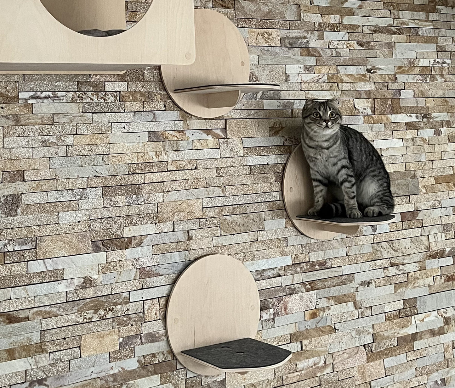 Cat house Modern cat tree Cats steps Cat wall bed Cat shelf Cat bed house Wall cat house Cat wall furniture set Cat wall tree modern Cats