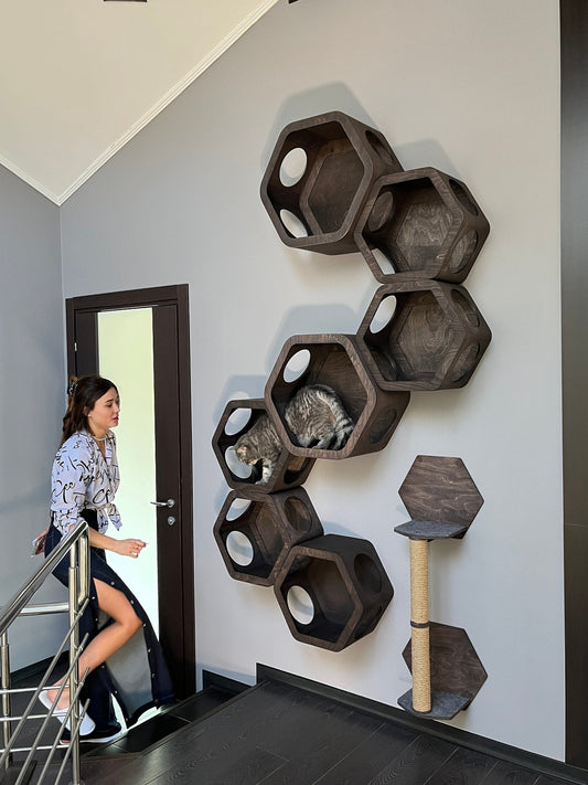 Cat wall furniture hexagon Cat wall house Cat hexagon shelves Cat wall furniture wooden Cat wall bed Cat bed Cat hexagonal Houses for cats