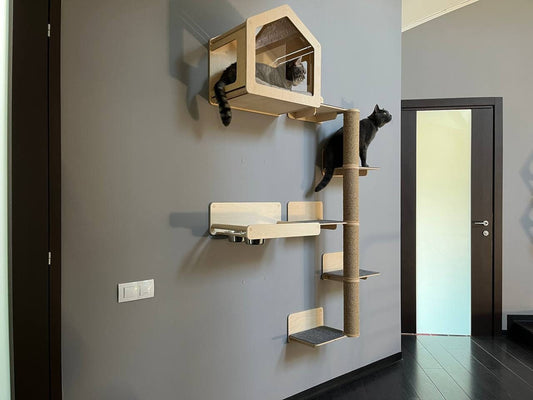 Cat wall furniture set Cat wall house Wall cat bed Cat shelf for walls Cat wall shelves Wooden cat bed Wall cat tree Cat house Gift for cat