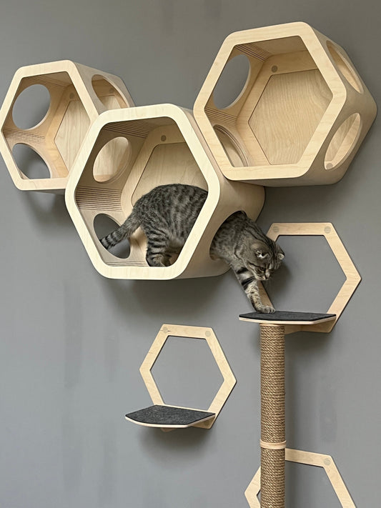 Cat hexagon shelf Modern cat furniture Wall mounted cat bed Cat wall shelves Hexagonal cat shelves Cat bed Wall cat tree Cat wall set gift