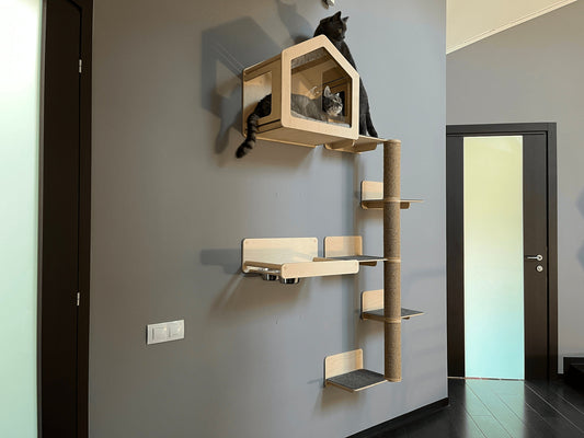 Cat house Cat bed Wall shelves for cat Cat shelves Cat climbing wall shelf Cat house wall Modern cat furniture Wood wall furniture for cats