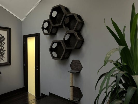 Hexagon for cat Set houses for cats Cat Modern cat furniture Cat christmas Gift for cat lover Cat bed Cat shelf Cat wall tree Modern wall
